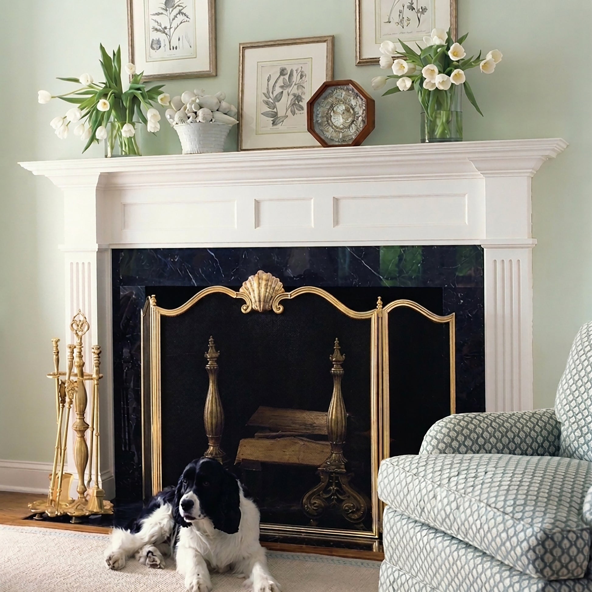 Upscale living room with a brass fireplace screen, decorative items, and a dog sitting in front.