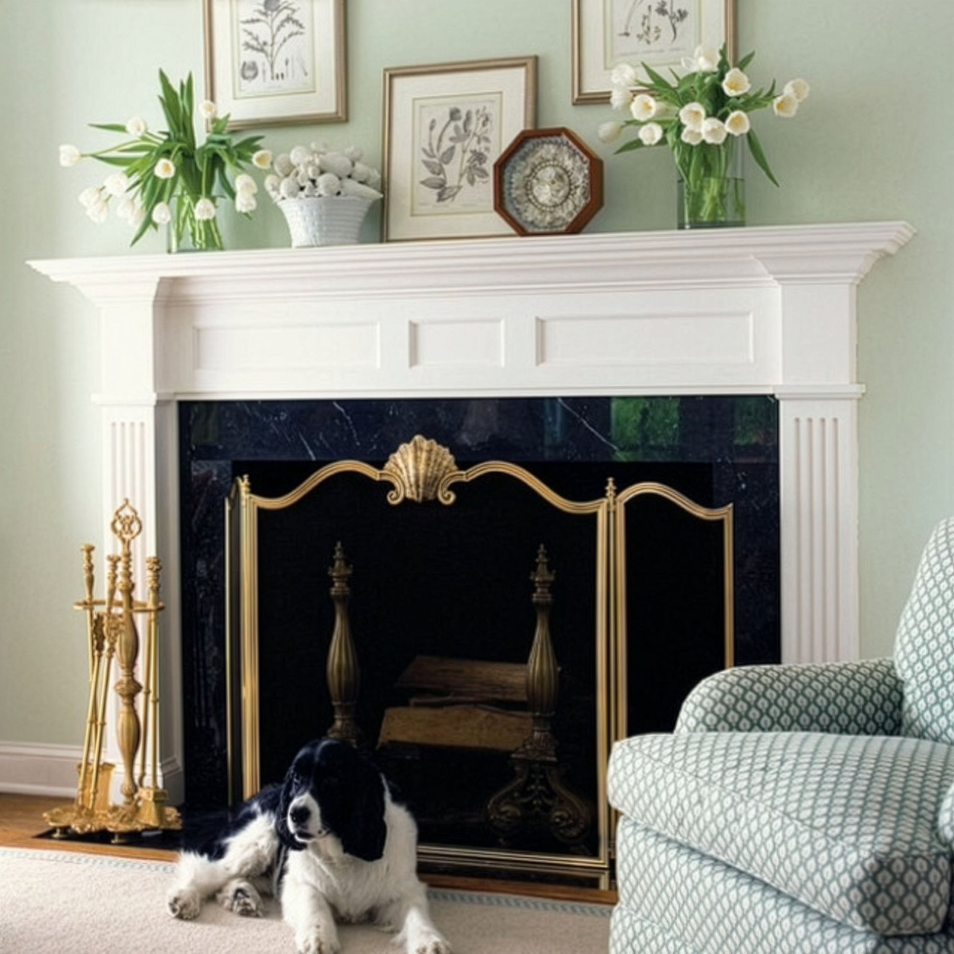 Upscale living room with a brass fireplace screen, decorative items, and a dog sitting in front.