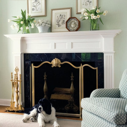 NATALIA brass fire screen