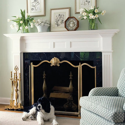 Brass fireplace screen in luxurious living room.