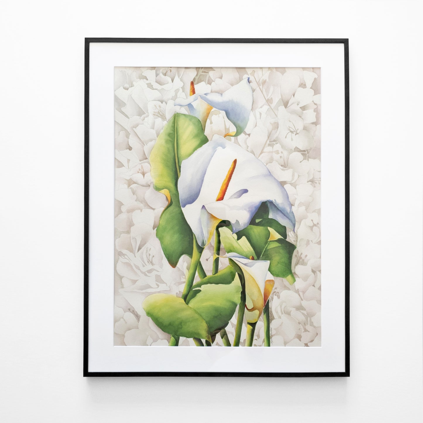 Watercolor painting of a white flower with a black frame.