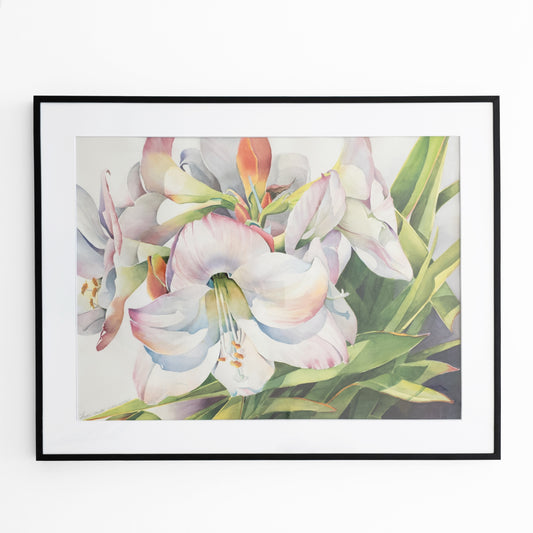 Watercolor painting of white tropical flowers in a black frame.