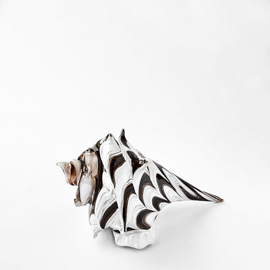 White and dark brown glass seashell decor.