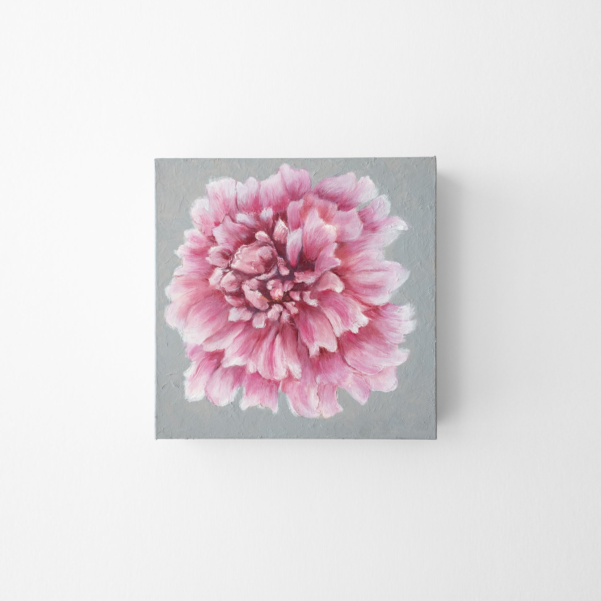 Pink peony painting on a gray background.