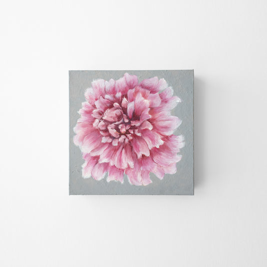 Pink peony painting on a gray background.