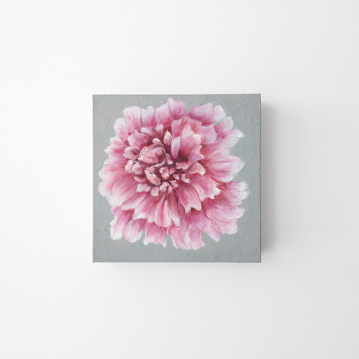 Pink peony painting on gray background.
