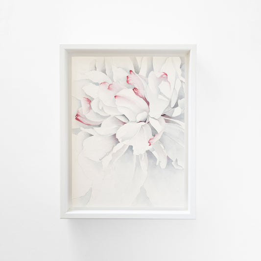 Painting of a white flower with pink accents with a white frame.